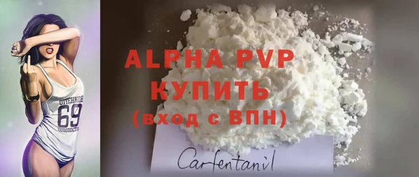 дживик Баксан