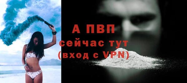 дживик Баксан