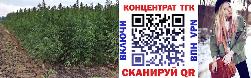 Купить  Лукоянов  ТГК вейп с тгк 
