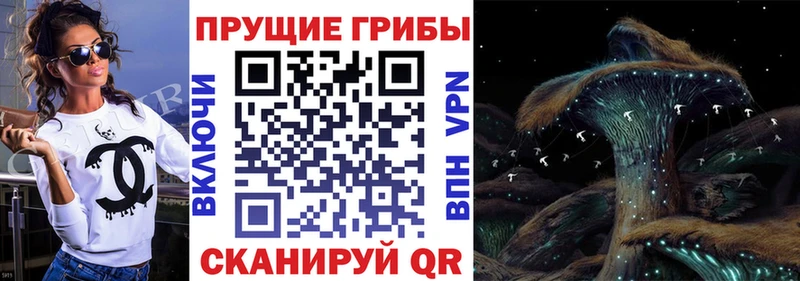 Псилоцибиновые грибы Psilocybe  Купить где  Лукоянов 