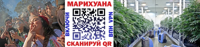 Купить  Лукоянов  Бошки Шишки планчик 